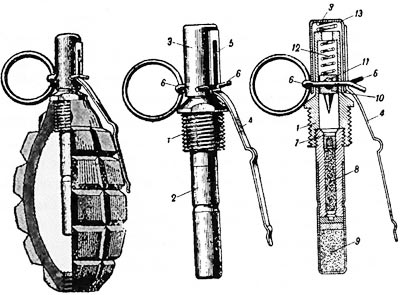 учебная разрезная граната Ф-1-А с запалом Ковешникова: 1 - остов запала; 2 - наперсток капсюля-детонатора; 3 - предохранительный колпачок; 4 - наружный рычаг колпачка; 5 - задерживающий выступ на остове запала; 6 - предохранительная чека; 7 - капсюль-воспламенитель; 8 - пороховой состав; 9 - капсюль-детонатор; 10 - ударник; 11 - шарик-предохранитель; 12 - боевая пружина; 13 - пружина колпачка.