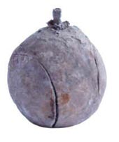 Lamarre Mle 1877Illumination