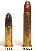 .22 LR и .22 WMR