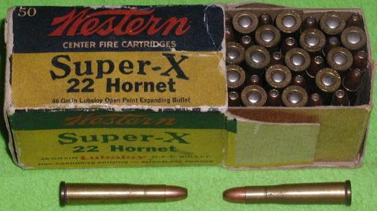 .22 Hornet