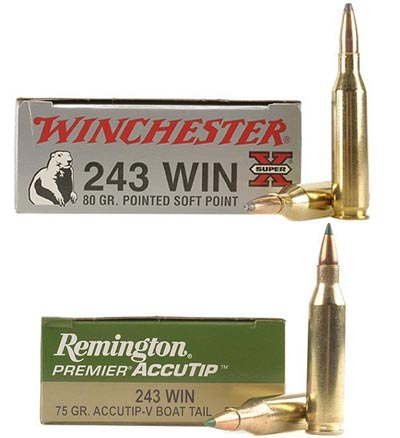 .243 Winchester