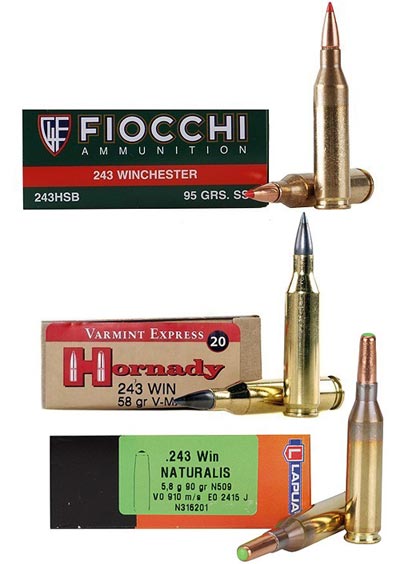 .243 Winchester