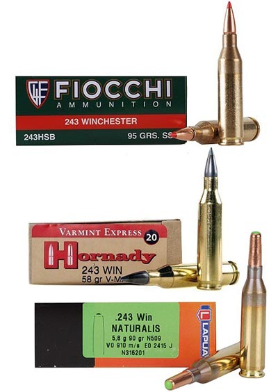 .243 Winchester